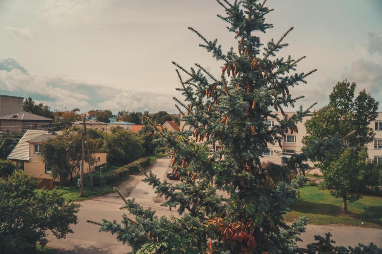 Hotell Paeaesuke Йигві Екстер'єр фото